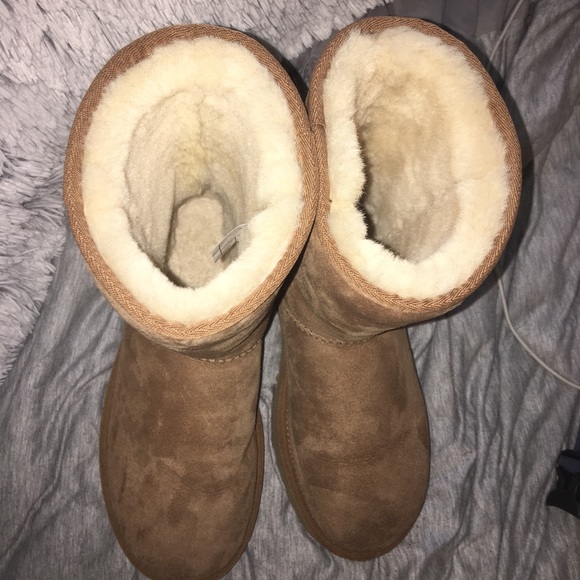 Short Ugg’s - Picture 4 of 4